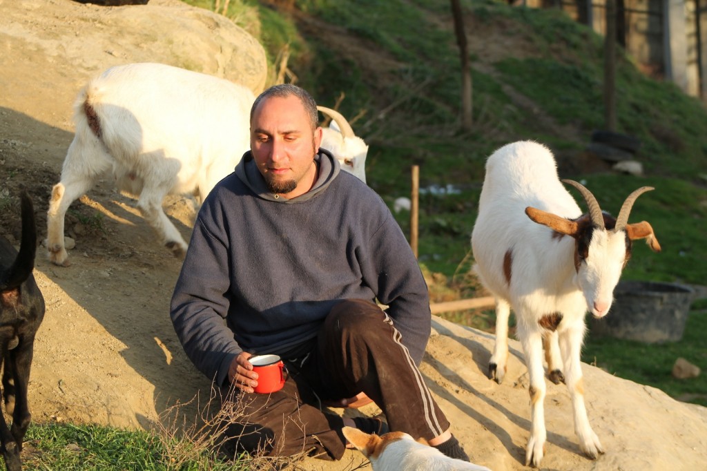 E' bello abitare in una ValleVegan