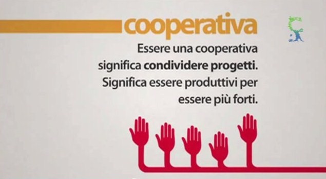 cooperativa