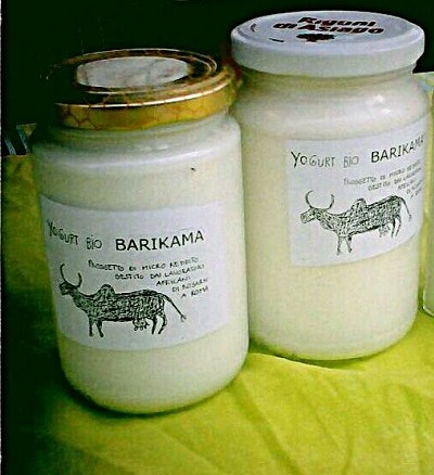 A 4 anni da Rosarno. Dallo sfruttamento nei campi all'autoproduzione dello yogurt Barikamà