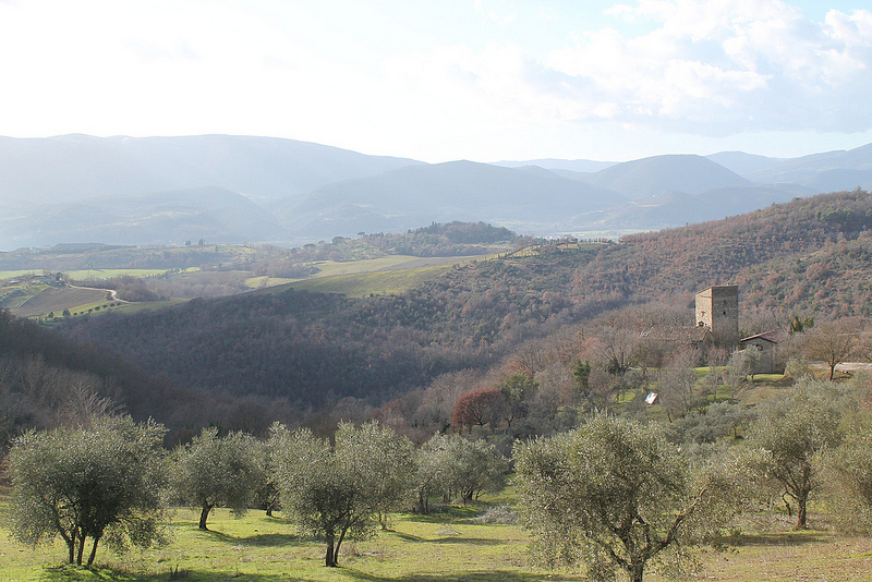 Dalla lotta di classe all’ecovillaggio: storia di Jacopo Fo e della sua “fuga ad Alcatraz” – Io faccio così#11