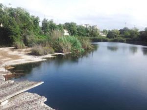 C'è un lago dietro casa mia? Terranave ci racconta la storia del bacino più sconosciuto di Roma