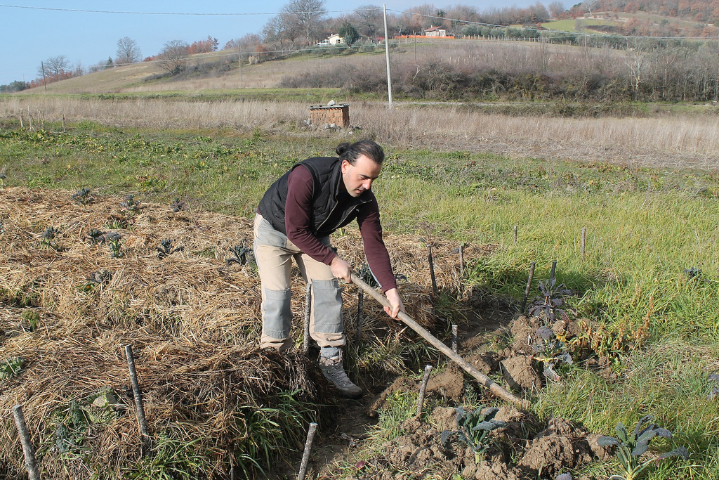 Le esperienze agricole della provincia di Campobasso
