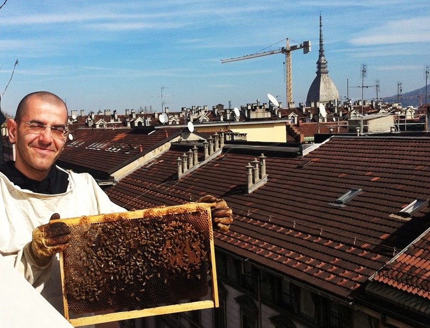 Apicoltura urbana: allevare api e produrre miele fra i tetti di Torino