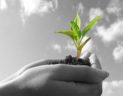 Biologico, un successo italiano. Agricoltori giovani e istruiti