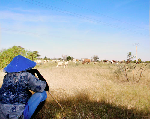 Senegal: la campagna di ActionAid contro il “furto della terra”