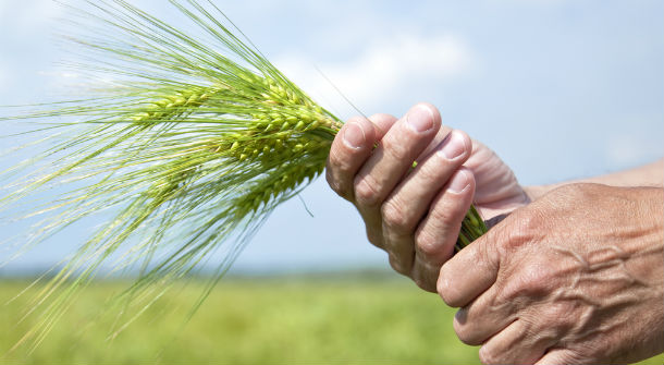 Arriva la legge sull'agricoltura sociale