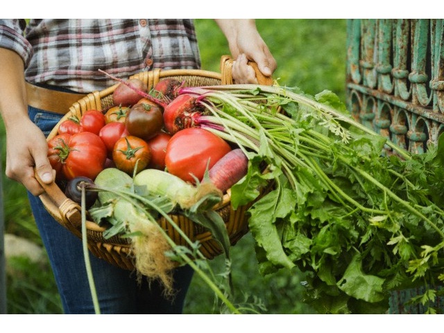 Agricoltura contadina, quali prospettive per il futuro?