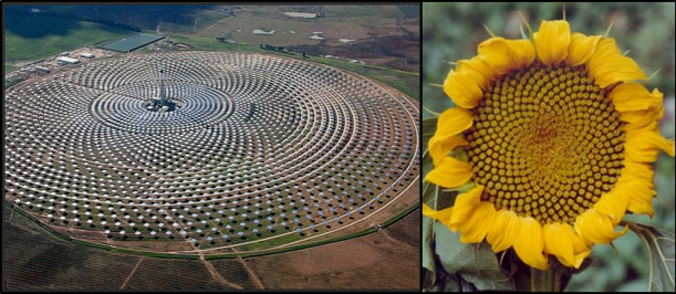 planta-termosolar