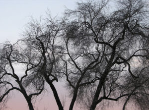 Foto di emdot via Flickr