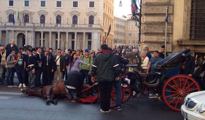 Una firma per dire "Basta botticelle"