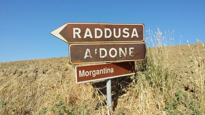 raddusa