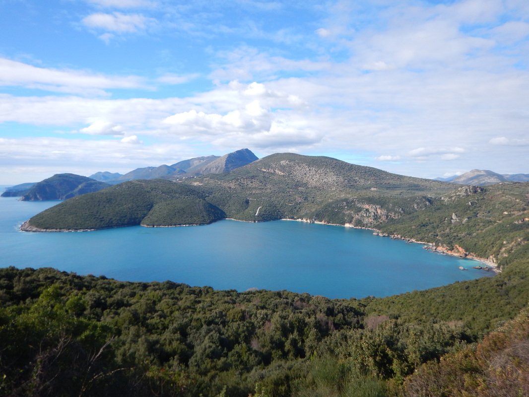 Cyclolenti in Grecia: la monaca nera