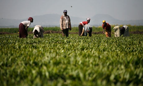 Landgrabbing: ActionAid contro il furto di terre in Tanzania