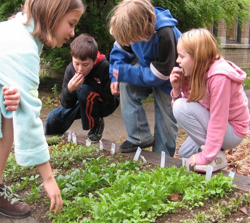 Orti didattici: l'amore per la natura e il cibo genuino si imparano a scuola
