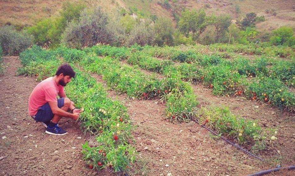 Tornare alla terra: si può vivere coltivando in modo naturale?