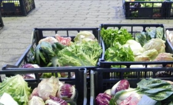 Sostenere l'economia solidale: il progetto BioSol