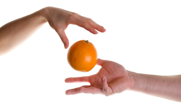 Scambio di cibo e altre strategie per una comunità senza sprechi