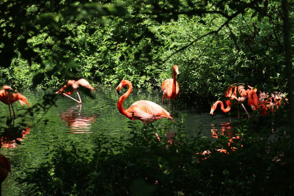 Un'oasi per conoscere la natura