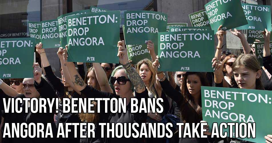 Benetton dice addio alla lana d’angora