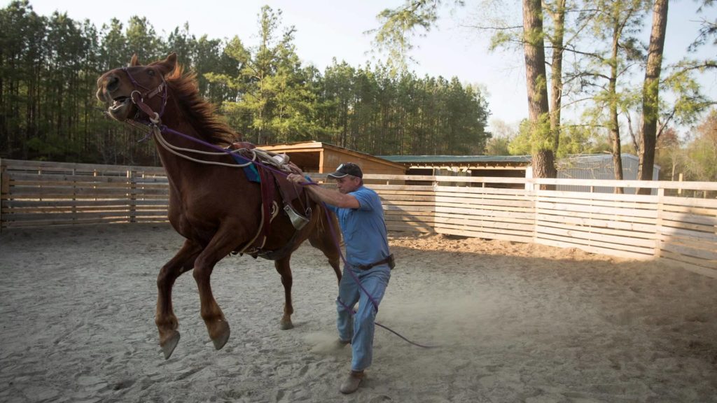 equi3