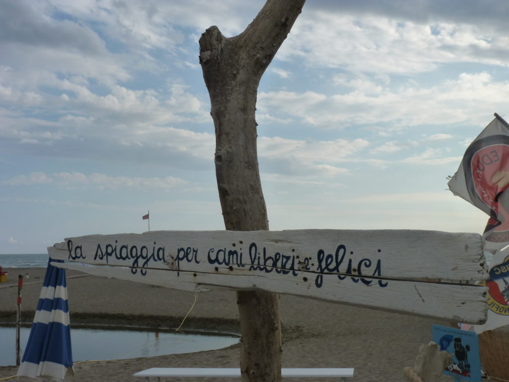 P1030157