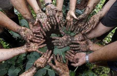 38 milioni di euro per i giovani agricoltori dell'Emilia-Romagna