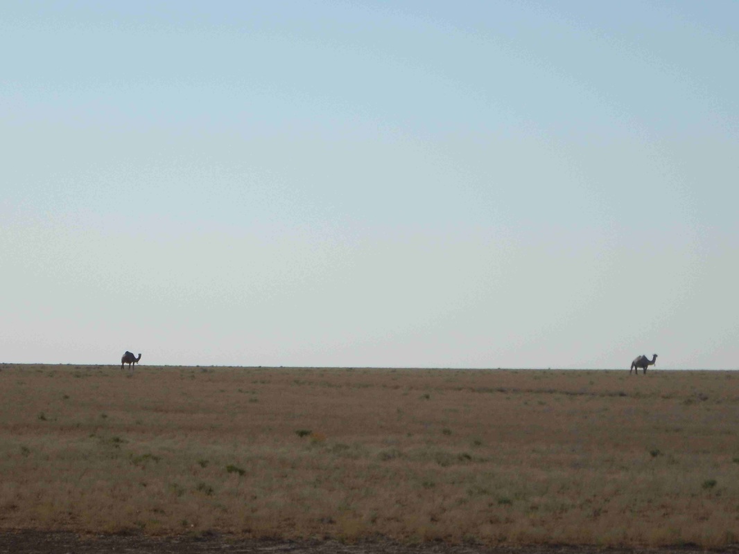 CycloLenti in Kazakhstan: il deserto kazako, "depressione totale"