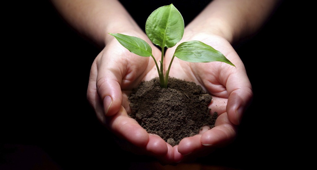 WWF: sette richieste ai leader mondiali