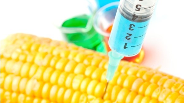 Ogm: Italia e altri 18 Paesi Ue dicono no