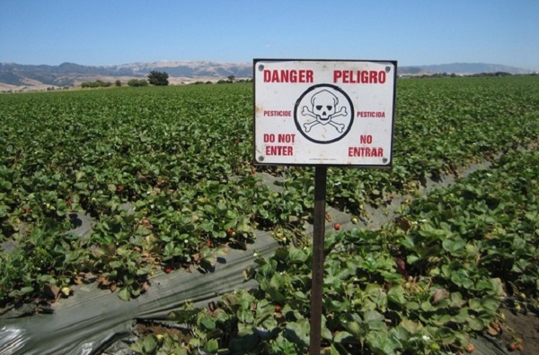 Pesticidi12