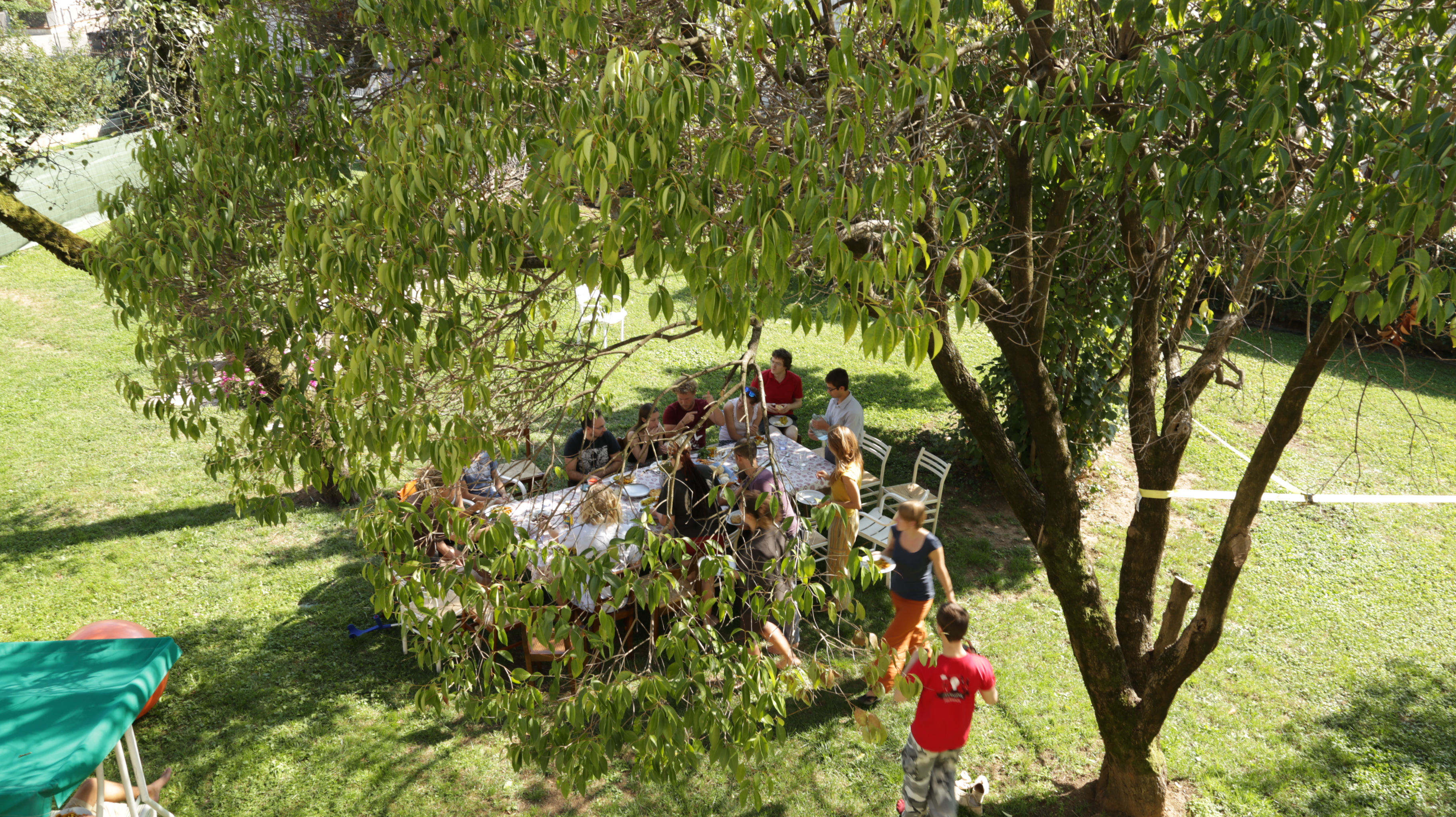 garden