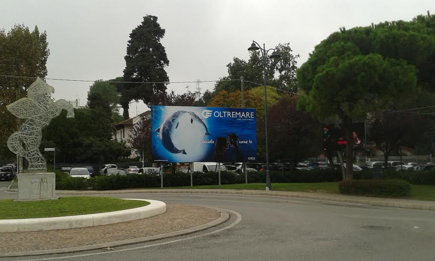 Da Riccione spunti per futuri animalisti