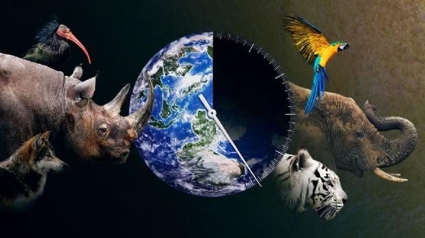 Verso l'estinzione delle specie? L'anteprima mondiale di “Racing Extinction”