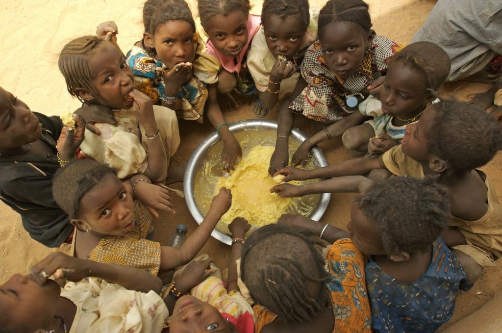 bimbi africa