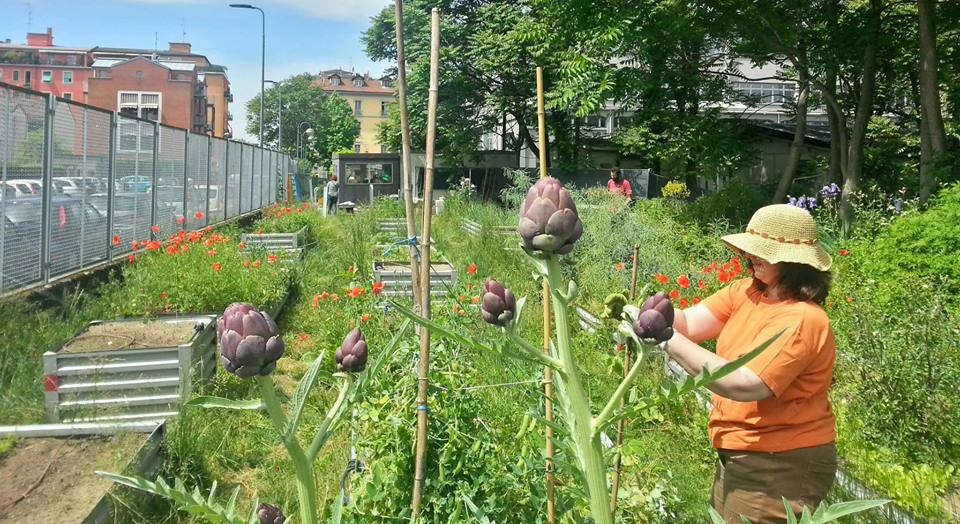 Io faccio così #101 – Orti urbani a Milano: Coltivando il cambiamento