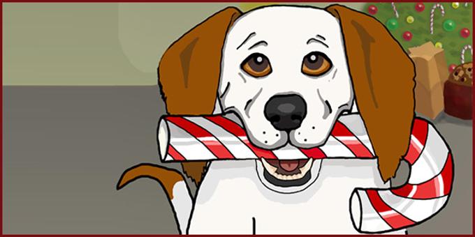 Natale: come proteggere gli animali nei giorni di festa