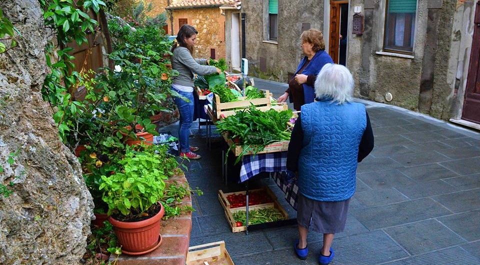 radici6