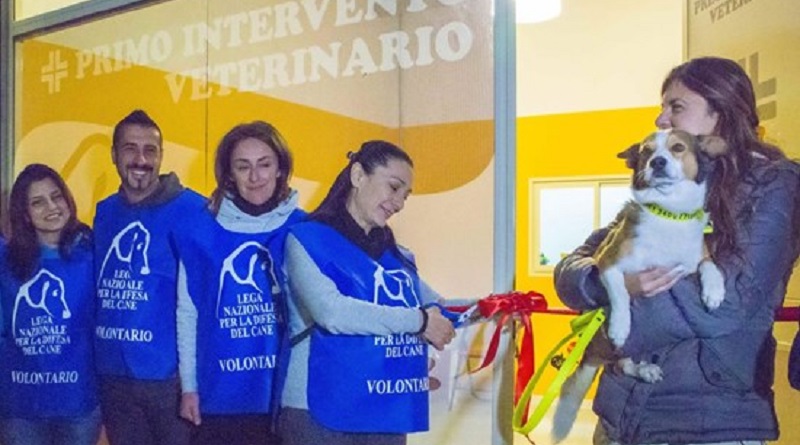 Sardegna: apre il primo ambulatorio per cani e gatti randagi
