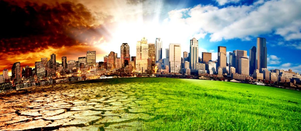 WWF: 2015, anno nobile per l'ambiente