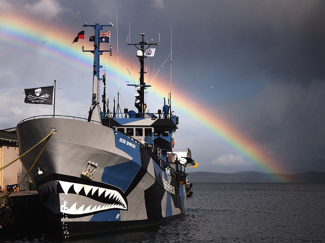 Sea Shepherd approda a Venezia: tra i volontari di bordo anche un’italiana