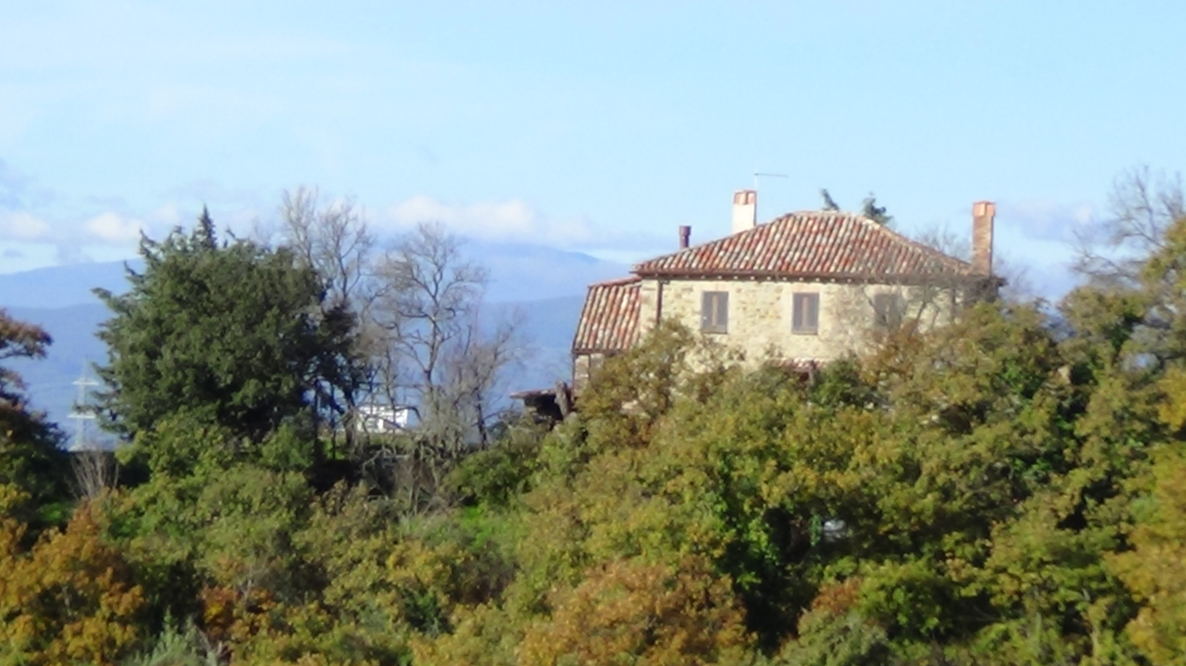 DSC00157