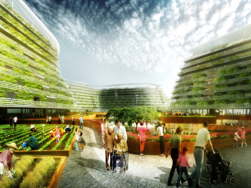 Home Farm, la casa di riposo diventa una fattoria urbana