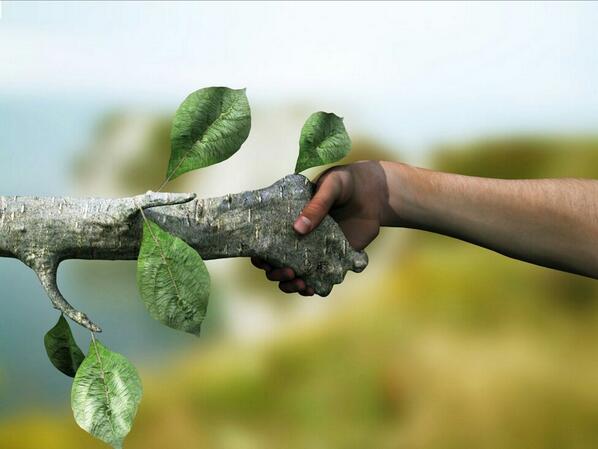 human-and-tree-shaking-hands