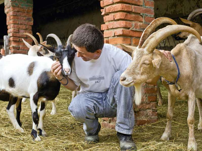 Gorgona è l’ultima isola-carcere italiana, situata nell’arcipelago toscano, nota soprattutto per la convivenza tra uomini e animali