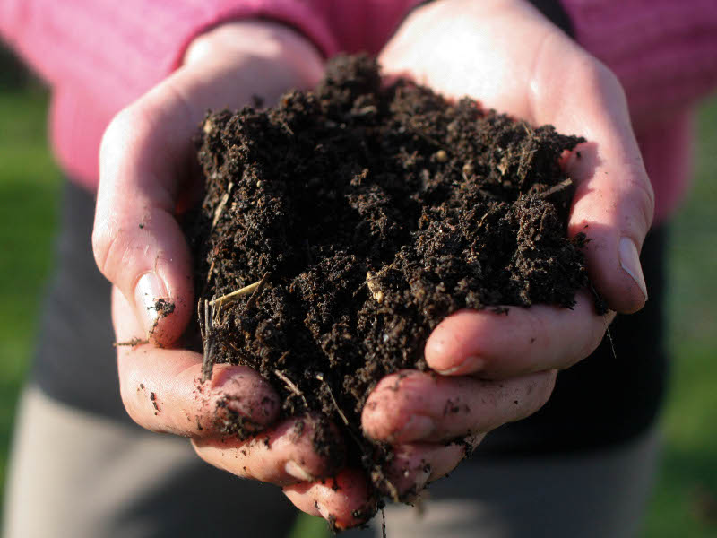 Dal Sudamerica all’Italia: le opportunità dell’agricoltura organica e rigenerativa
