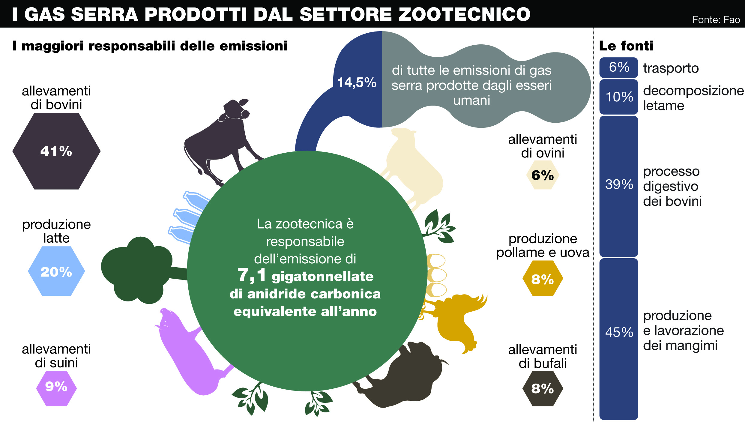 Stampa