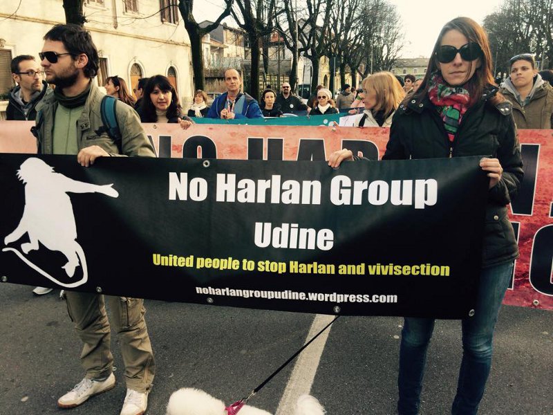 No Harlan Group Udine costituito da attivisti di diverse associazioni e singoli cittadini che lottano contro gli abusi che subiscono gli animali