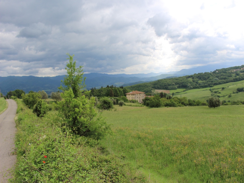 Ecovillaggio San Cresci: diventare grandi e ritornare alla terra!