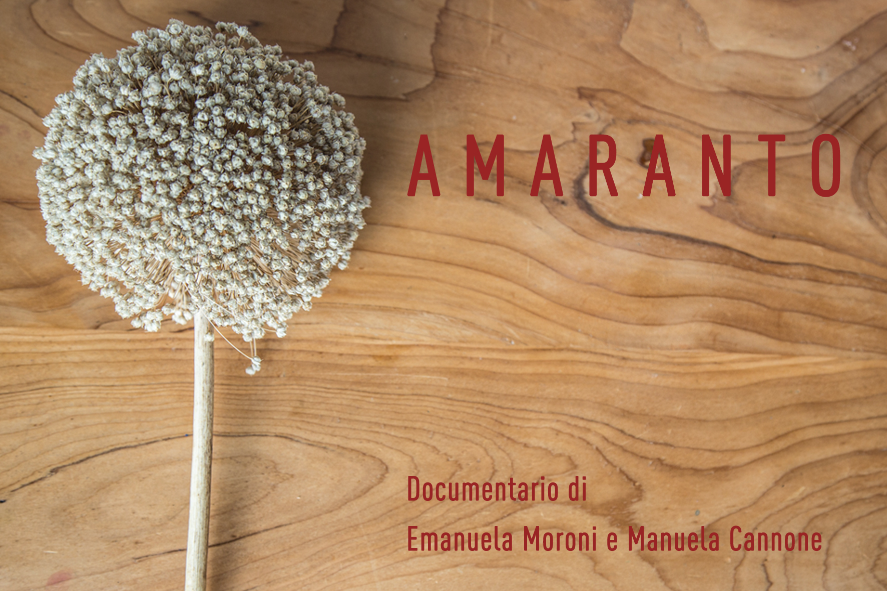 cartolina_amaranto