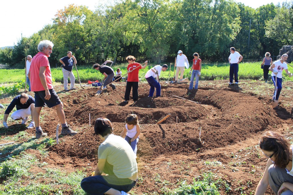 #viaggiareispirati 16: wwoofing, e se passassi le vacanze lavorando nei campi?